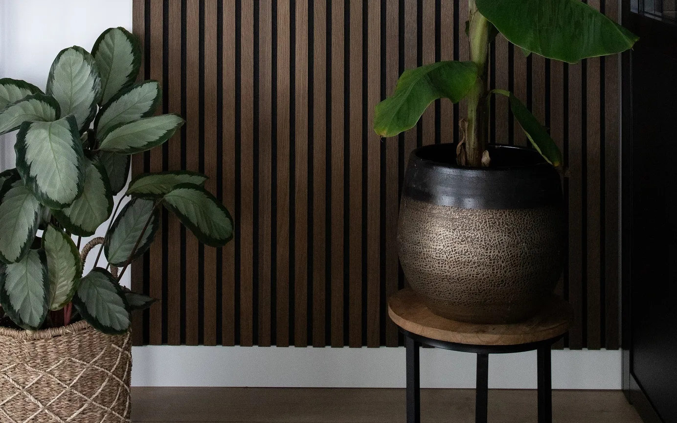 Wandpanelen van Akupanel achter de plant