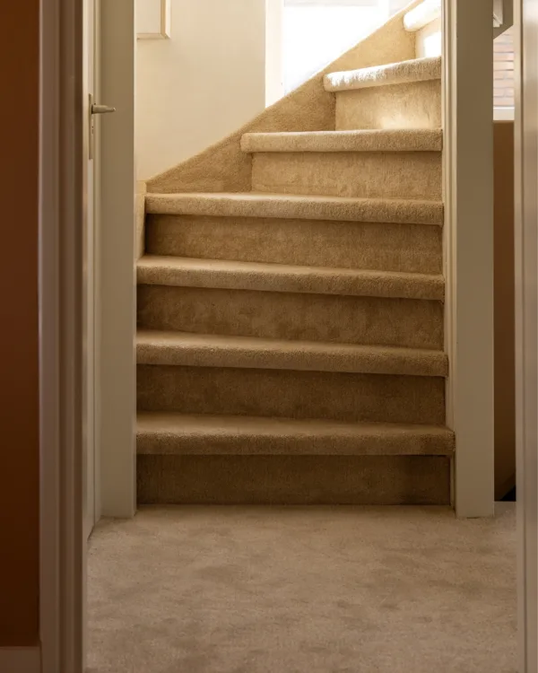 Trap bekleed met beige tapijt