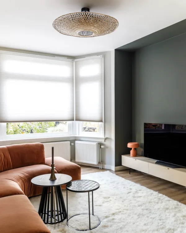 vtwonen seizoen 18 afl. 2 Den Haag raamdeocratie