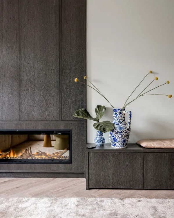 Vtwonen seizoen 18 afl 8 - Voorburg Kast op maat woonkamer met elektrische haard