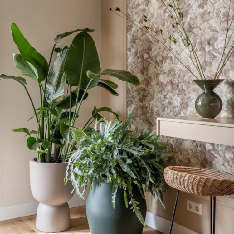 Sfeer foto van bank met behang in lijst, japandi stijl