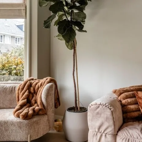 Sfeerfoto in Japandi stijl in vtwonen