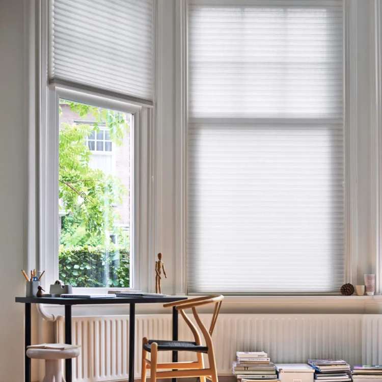 Plissés en dupligordijnen Aanhuis.nl-collectie in woonkamer
